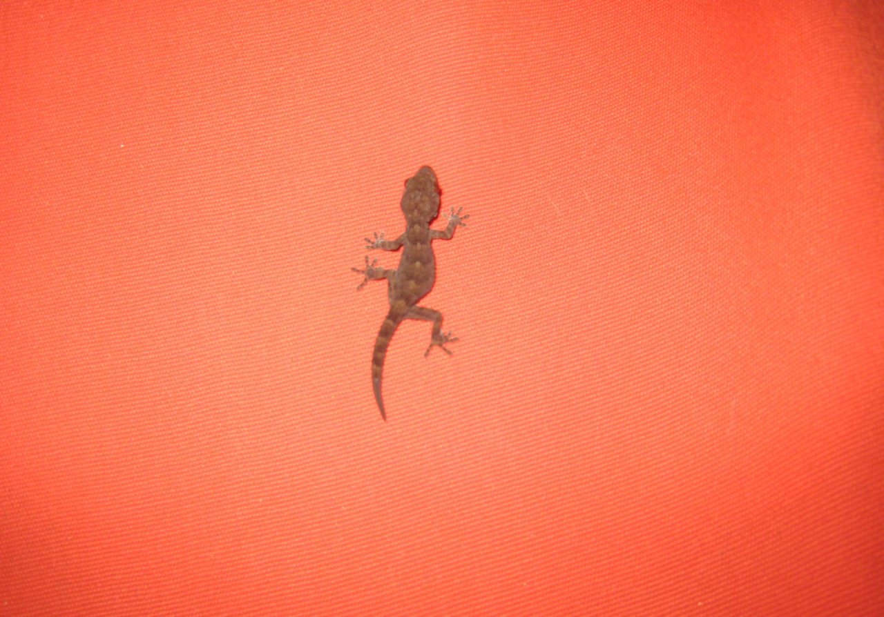 20_lanzarote