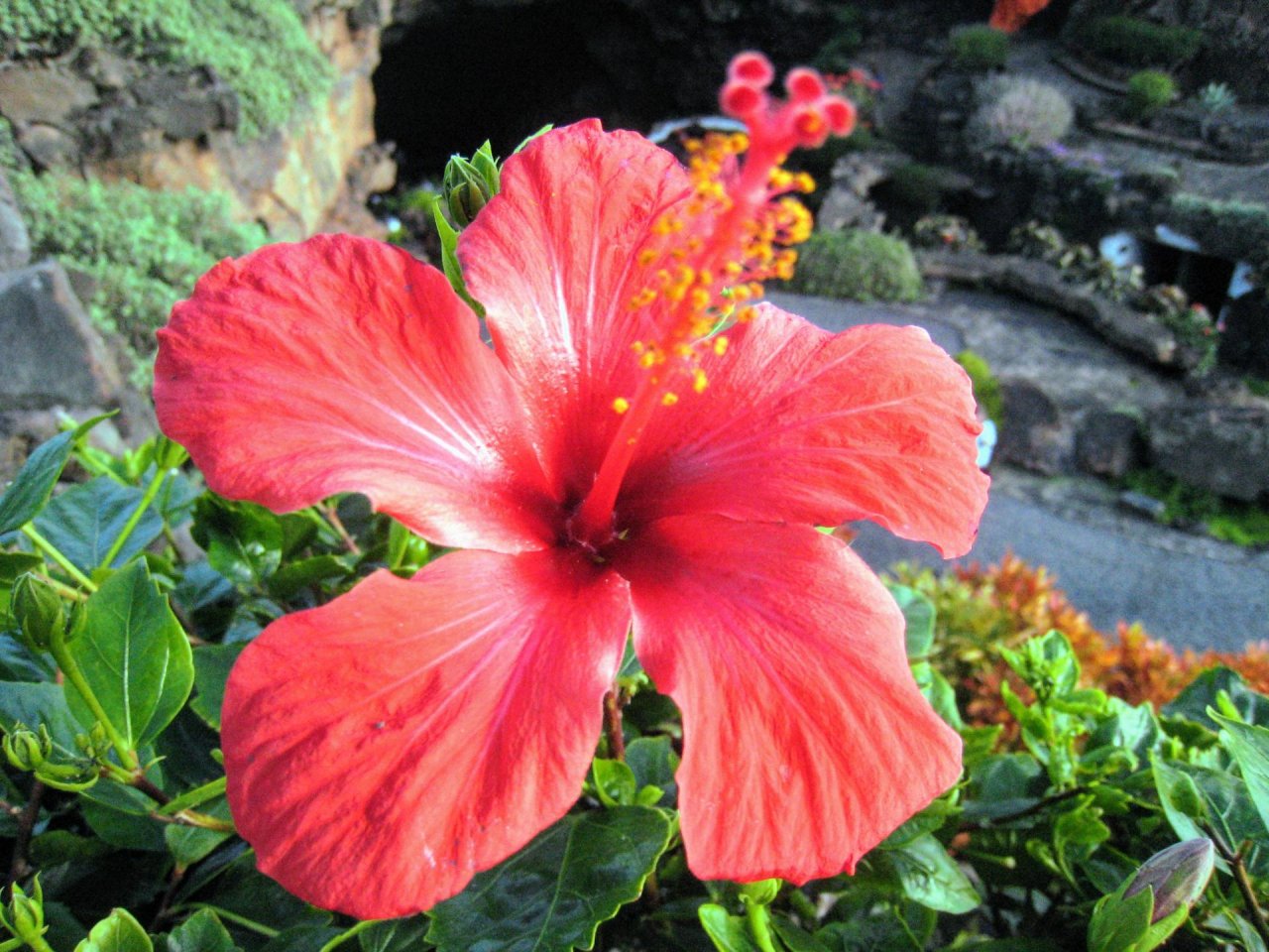 22_lanzarote