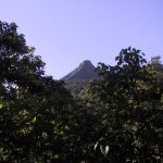 AdamsPeak_016