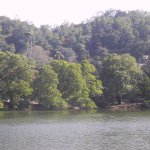 Kandy_001