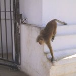Kandy_005