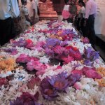 Kandy_007
