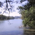 Kandy_010