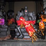 Kandy_012