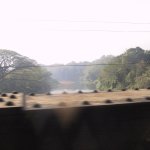 Kandy_014