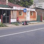 Pinawela_001
