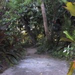 Unawatuna_002