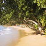 Unawatuna_004