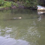 Unawatuna_014