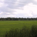 Welawaya_014