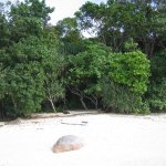 KoLipe_004