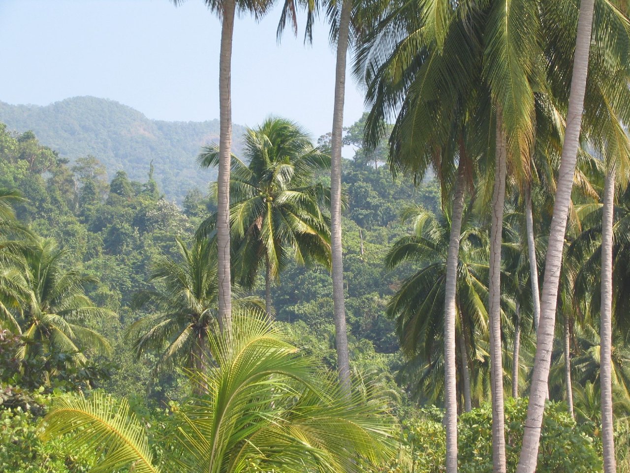 KoChang_003