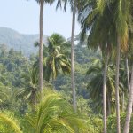 KoChang_003