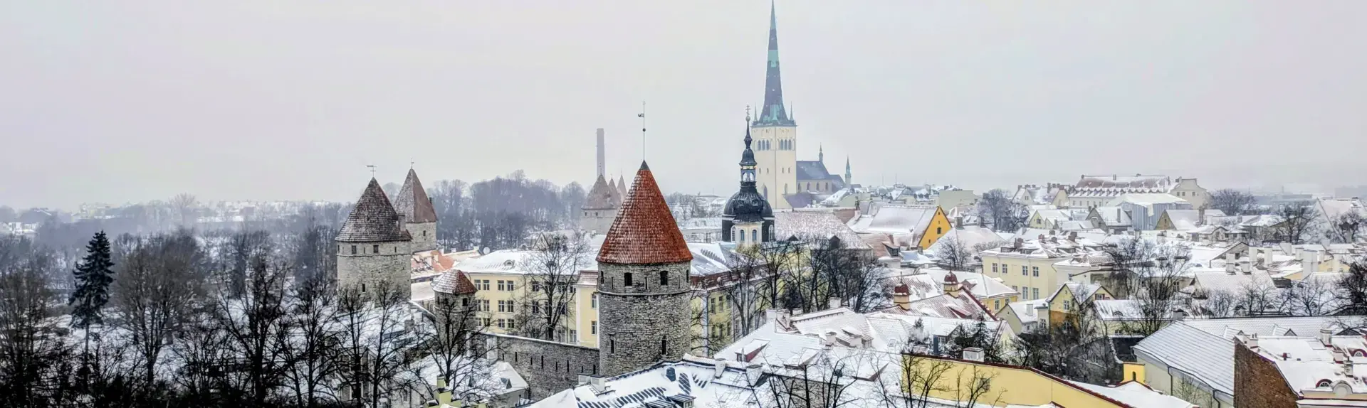 Das Panorama von Tallinn im Schnee